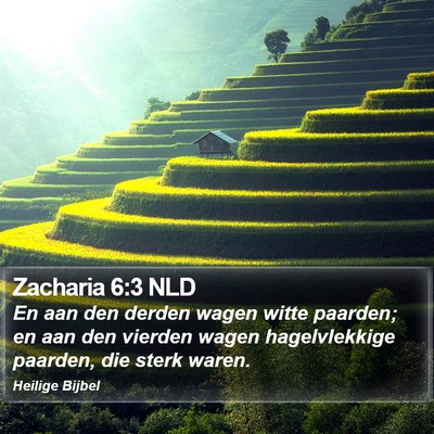 Zacharia 6:3 NLD Bible Verse Image