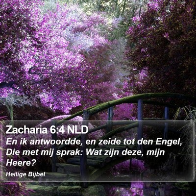 Zacharia 6:4 NLD Bible Verse Image