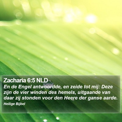 Zacharia 6:5 NLD Bible Verse Image