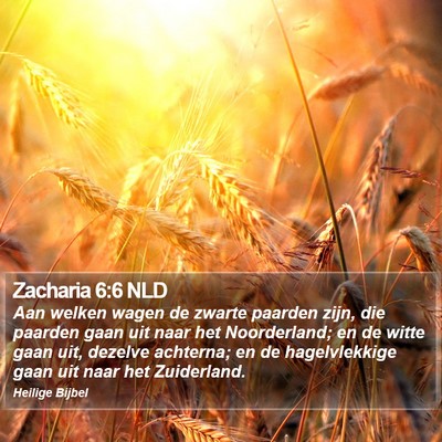 Zacharia 6:6 NLD Bible Verse Image