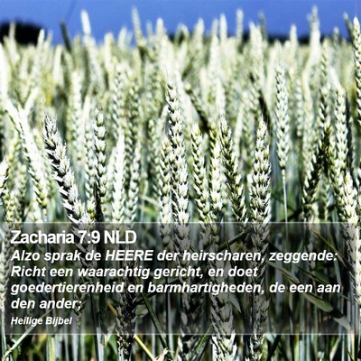 Zacharia 7:9 NLD Bible Verse Image