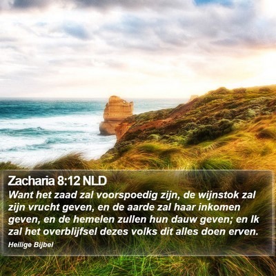 Zacharia 8:12 NLD Bible Verse Image