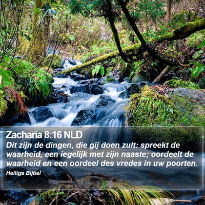 Zacharia 8:16 NLD Bible Verse Image