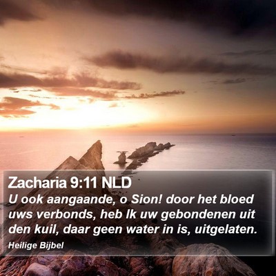 Zacharia 9:11 NLD Bible Verse Image