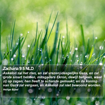 Zacharia 9:5 NLD Bible Verse Image