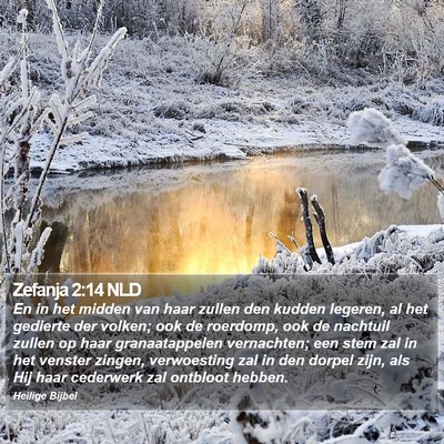 Zefanja 2:14 NLD Bible Verse Image