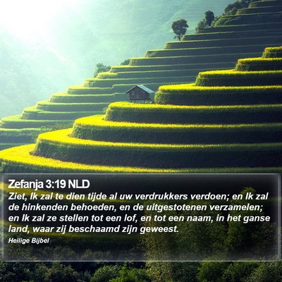 Zefanja 3:19 NLD Bible Verse Image