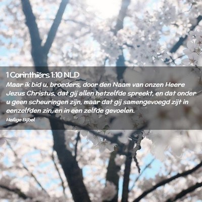 Picture 02 - 1 Corinthiërs 1:10 NLD - Maar ik bid u, broeders, door den Naam van onzen - Bible Verse Picture