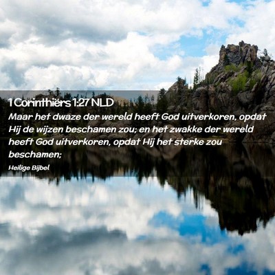 Picture 02 - 1 Corinthiërs 1:27 NLD - Maar het dwaze der wereld heeft God uitverkoren, - Bible Verse Picture