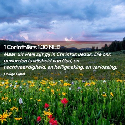 Picture 02 - 1 Corinthiërs 1:30 NLD - Maar uit Hem zijt gij in Christus Jezus, Die ons - Bible Verse Picture