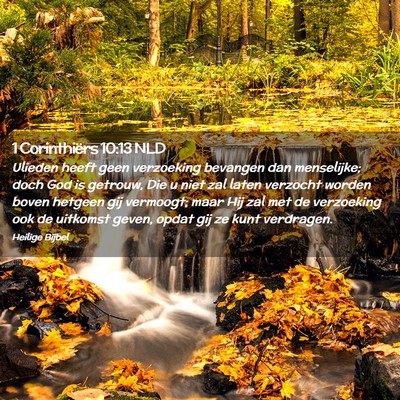 Picture 02 - 1 Corinthiërs 10:13 NLD - Ulieden heeft geen verzoeking bevangen dan - Bible Verse Picture