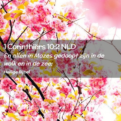 Picture 02 - 1 Corinthiërs 10:2 NLD - En allen in Mozes gedoopt zijn in de wolk en in - Bible Verse Picture