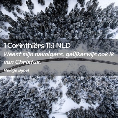 Picture 02 - 1 Corinthiërs 11:1 NLD - Weest mijn navolgers, gelijkerwijs ook ik van - Bible Verse Picture
