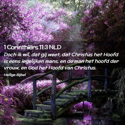 Picture 02 - 1 Corinthiërs 11:3 NLD - Doch ik wil, dat gij weet, dat Christus het Hoofd - Bible Verse Picture