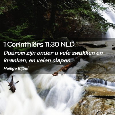 Picture 02 - 1 Corinthiërs 11:30 NLD - Daarom zijn onder u vele zwakken en kranken, en - Bible Verse Picture