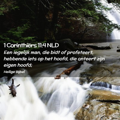 Picture 02 - 1 Corinthiërs 11:4 NLD - Een iegelijk man, die bidt of profeteert, - Bible Verse Picture