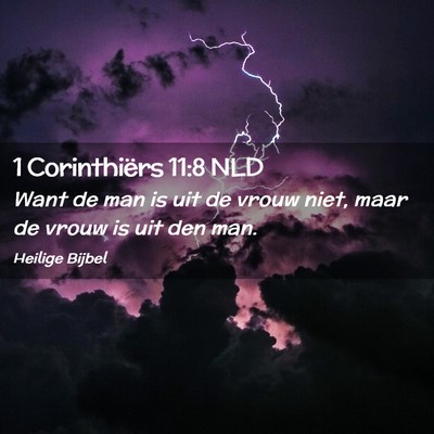 Picture 02 - 1 Corinthiërs 11:8 NLD - Want de man is uit de vrouw niet, maar de vrouw - Bible Verse Picture