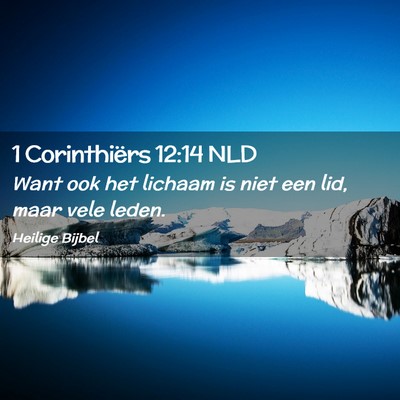 Picture 02 - 1 Corinthiërs 12:14 NLD - Want ook het lichaam is niet een lid, maar vele - Bible Verse Picture