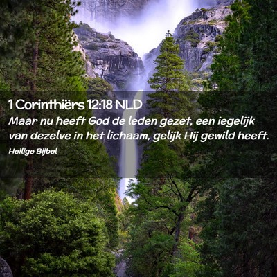 Picture 02 - 1 Corinthiërs 12:18 NLD - Maar nu heeft God de leden gezet, een iegelijk - Bible Verse Picture
