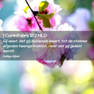 Picture 02 - 1 Corinthiërs 12:2 NLD - Gij weet, dat gij heidenen waart, tot de stomme - Bible Verse Picture