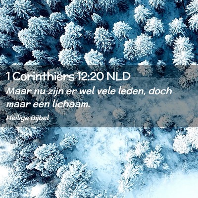 Picture 02 - 1 Corinthiërs 12:20 NLD - Maar nu zijn er wel vele leden, doch maar een - Bible Verse Picture