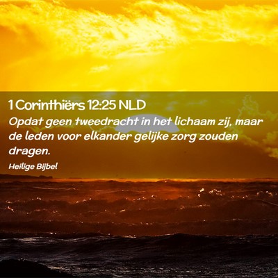 Picture 02 - 1 Corinthiërs 12:25 NLD - Opdat geen tweedracht in het lichaam zij, maar de - Bible Verse Picture