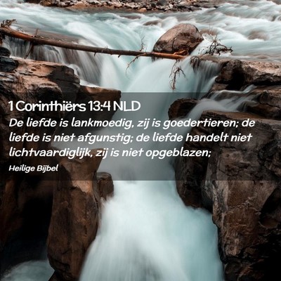 Picture 02 - 1 Corinthiërs 13:4 NLD - De liefde is lankmoedig, zij is goedertieren; de - Bible Verse Picture