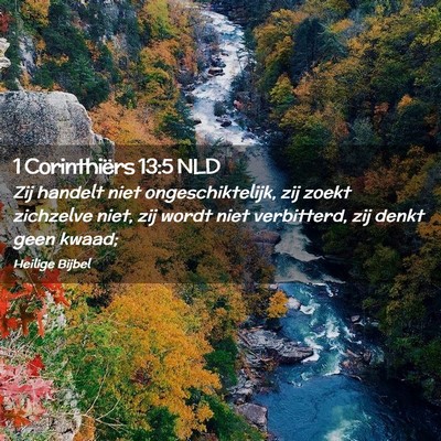Picture 02 - 1 Corinthiërs 13:5 NLD - Zij handelt niet ongeschiktelijk, zij zoekt - Bible Verse Picture