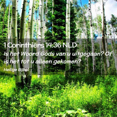 Picture 02 - 1 Corinthiërs 14:36 NLD - Is het Woord Gods van u uitgegaan? Of is het tot - Bible Verse Picture