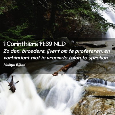 Picture 02 - 1 Corinthiërs 14:39 NLD - Zo dan, broeders, ijvert om te profeteren, en - Bible Verse Picture