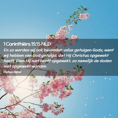 Picture 02 - 1 Corinthiërs 15:15 NLD - En zo worden wij ook bevonden valse getuigen - Bible Verse Picture