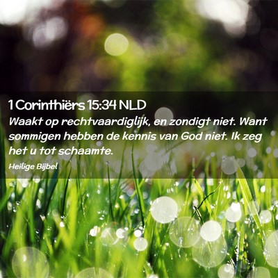 Picture 02 - 1 Corinthiërs 15:34 NLD - Waakt op rechtvaardiglijk, en zondigt niet. Want - Bible Verse Picture