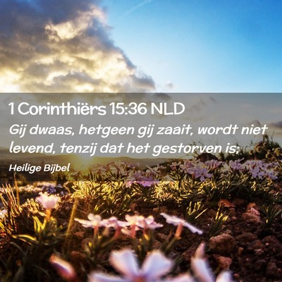 Picture 02 - 1 Corinthiërs 15:36 NLD - Gij dwaas, hetgeen gij zaait, wordt niet levend, - Bible Verse Picture