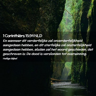Picture 02 - 1 Corinthiërs 15:54 NLD - En wanneer dit verderfelijke zal - Bible Verse Picture