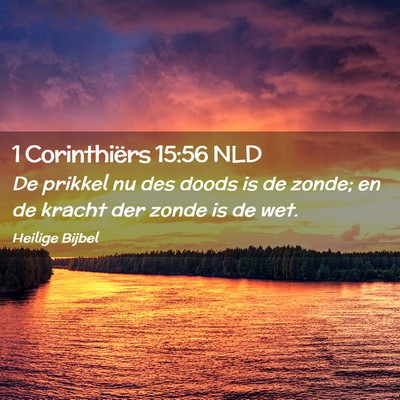 Picture 02 - 1 Corinthiërs 15:56 NLD - De prikkel nu des doods is de zonde; en de kracht - Bible Verse Picture