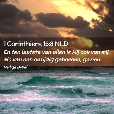 Picture 02 - 1 Corinthiërs 15:8 NLD - En ten laatste van allen is Hij ook van mij, als - Bible Verse Picture