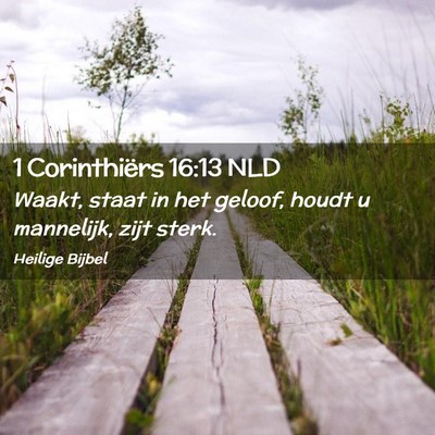 Picture 02 - 1 Corinthiërs 16:13 NLD - Waakt, staat in het geloof, houdt u mannelijk, - Bible Verse Picture