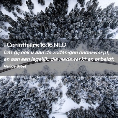 Picture 02 - 1 Corinthiërs 16:16 NLD - Dat gij ook u aan de zodanigen onderwerpt, en aan - Bible Verse Picture