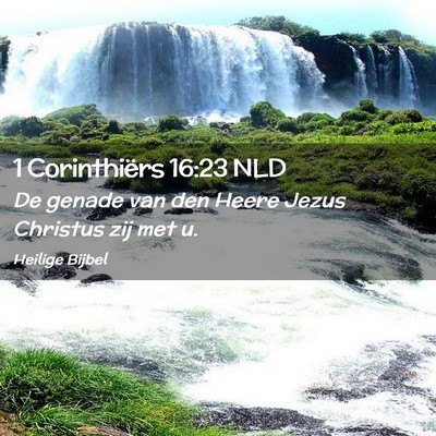 Picture 02 - 1 Corinthiërs 16:23 NLD - De genade van den Heere Jezus Christus zij met - Bible Verse Picture