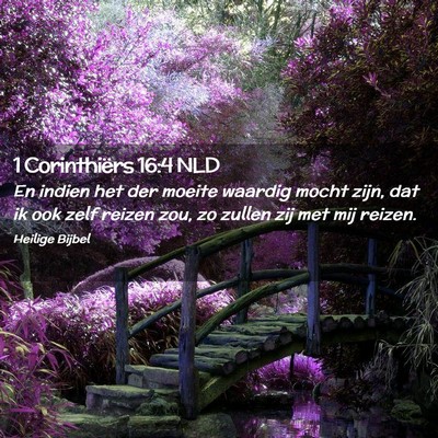 Picture 02 - 1 Corinthiërs 16:4 NLD - En indien het der moeite waardig mocht zijn, dat - Bible Verse Picture
