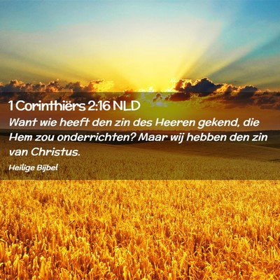Picture 02 - 1 Corinthiërs 2:16 NLD - Want wie heeft den zin des Heeren gekend, die Hem - Bible Verse Picture