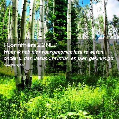 Picture 02 - 1 Corinthiërs 2:2 NLD - Want ik heb niet voorgenomen iets te weten onder - Bible Verse Picture