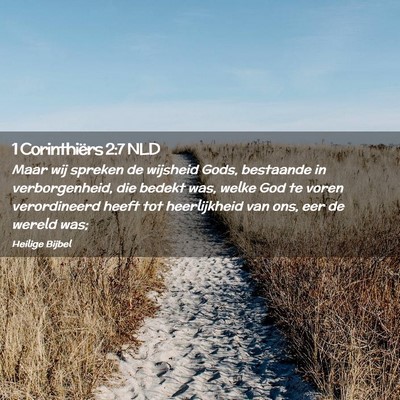 Picture 02 - 1 Corinthiërs 2:7 NLD - Maar wij spreken de wijsheid Gods, bestaande in - Bible Verse Picture