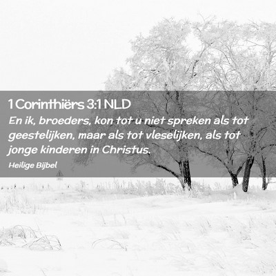Picture 02 - 1 Corinthiërs 3:1 NLD - En ik, broeders, kon tot u niet spreken als tot - Bible Verse Picture
