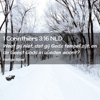 Picture 02 - 1 Corinthiërs 3:16 NLD - Weet gij niet, dat gij Gods tempel zijt, en de - Bible Verse Picture