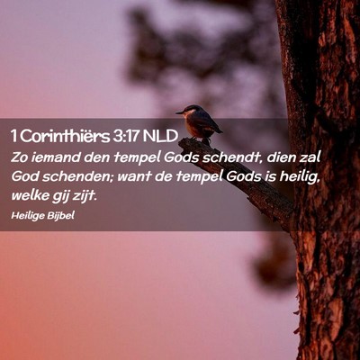 Picture 02 - 1 Corinthiërs 3:17 NLD - Zo iemand den tempel Gods schendt, dien zal God - Bible Verse Picture