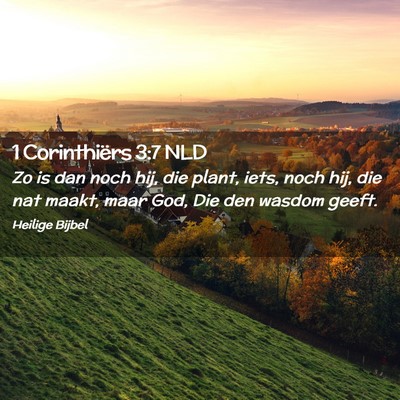 Picture 02 - 1 Corinthiërs 3:7 NLD - Zo is dan noch hij, die plant, iets, noch hij, - Bible Verse Picture