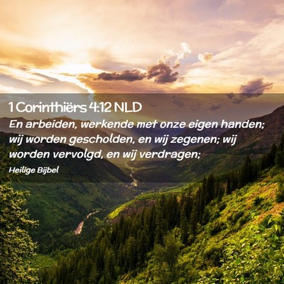 Picture 02 - 1 Corinthiërs 4:12 NLD - En arbeiden, werkende met onze eigen handen; wij - Bible Verse Picture