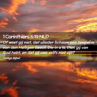 Picture 02 - 1 Corinthiërs 6:19 NLD - Of weet gij niet, dat ulieder lichaam een tempel - Bible Verse Picture