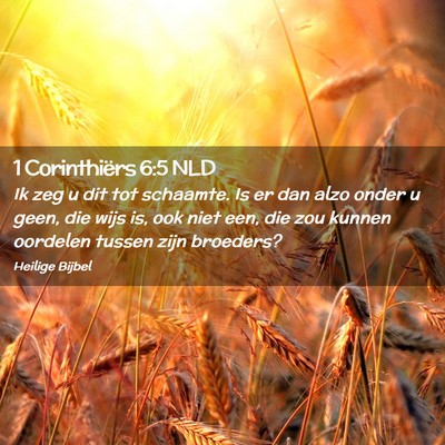 Picture 02 - 1 Corinthiërs 6:5 NLD - Ik zeg u dit tot schaamte. Is er dan alzo onder u - Bible Verse Picture